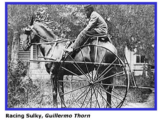 Racing Sulky, Thorn